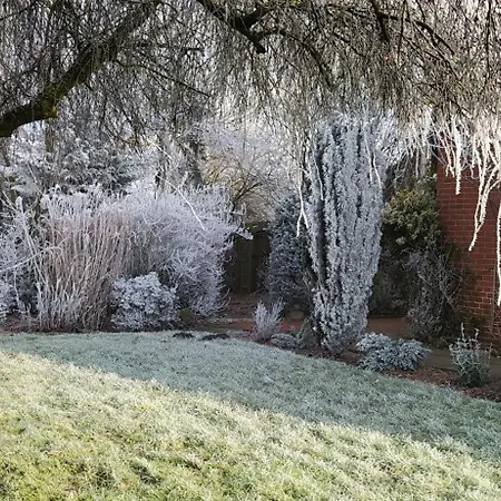 Moorhaus Ovelgonne